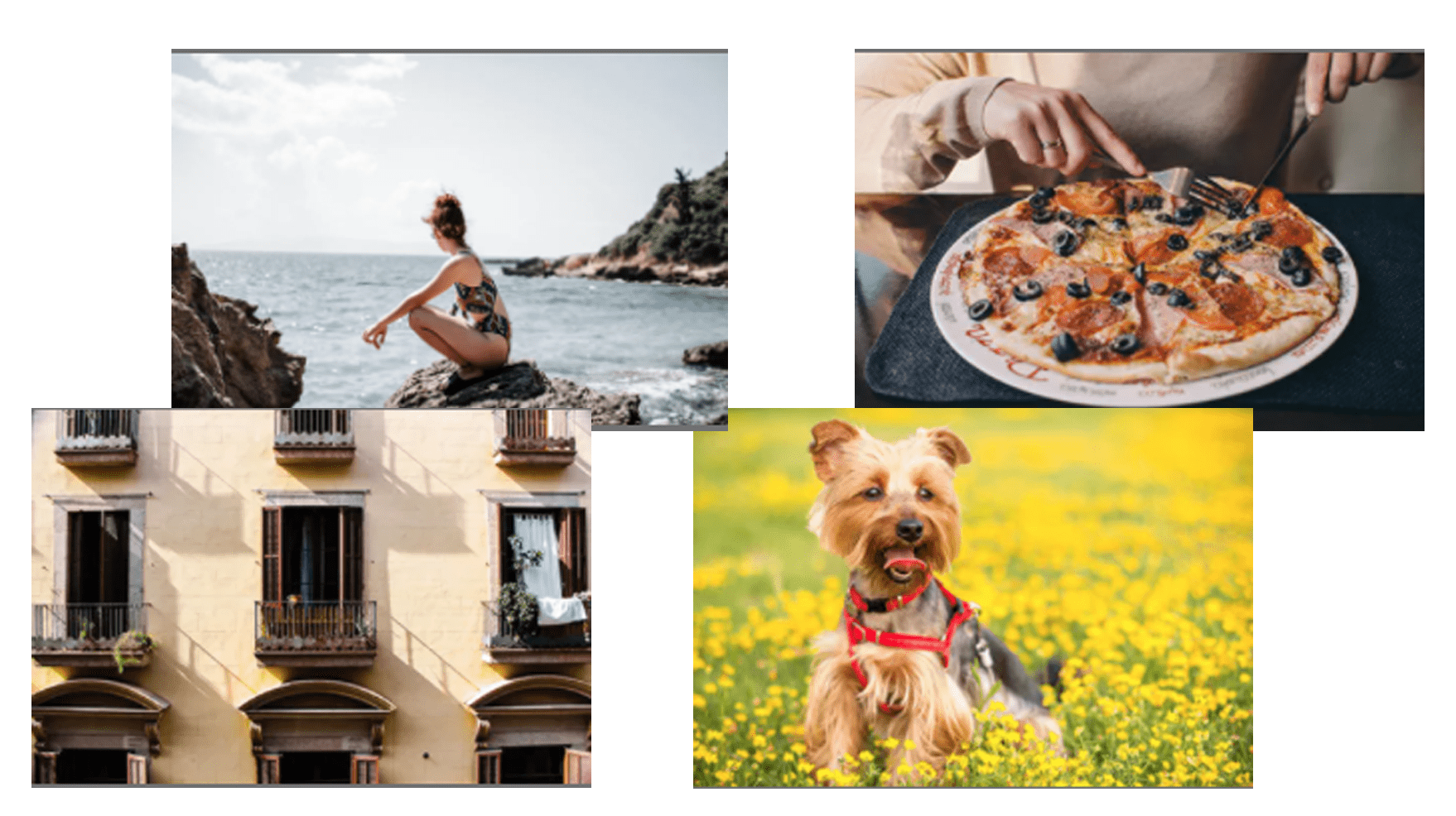 photos modèles